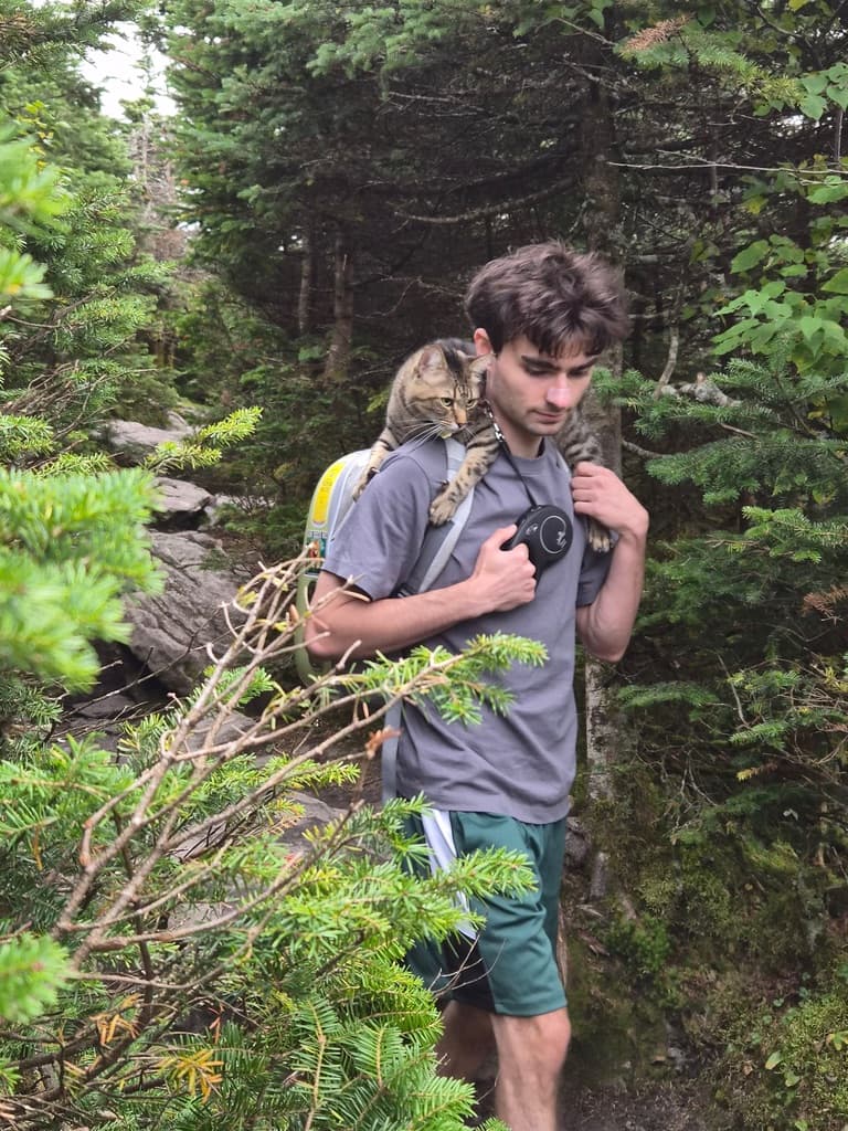 Cat Me